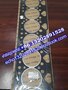 DRIED BLACK FUNGUS SLICE with UPPER QUALITY