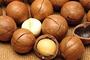 fried peanuts--professional manufacturer of peanut products