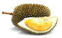 Durian from Vietnam for export