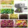 Herb tea dryer  Floral & Plants drying  Scented tea drying machine