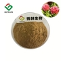 Anti Hypoxia CAS 10338-51-9 Natural Herbal Extracts 3% Rhodiola Salidroside