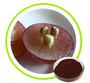 Grape Seed Extract Non-GMO, Non-Irradiation, Water Soluble