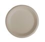 100% Compostable 9 Inches Natural, Biodegradable Food Plate For Food And Ve