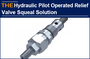 AAK solve the squeal of hydraulic cartridge relief valve with a small trick