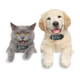 Anti-Lost Portable GPS Trackers for Pet Tracking Devices with free app