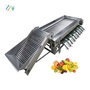Easy to Use Fruit Sorting Machine