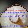 Procaine china, procaine chemical,procaine powder,sell procaine cas 59-46-1