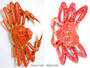 Live and frozen king crab, snow crab, spanner crab, king crab leg, clusters