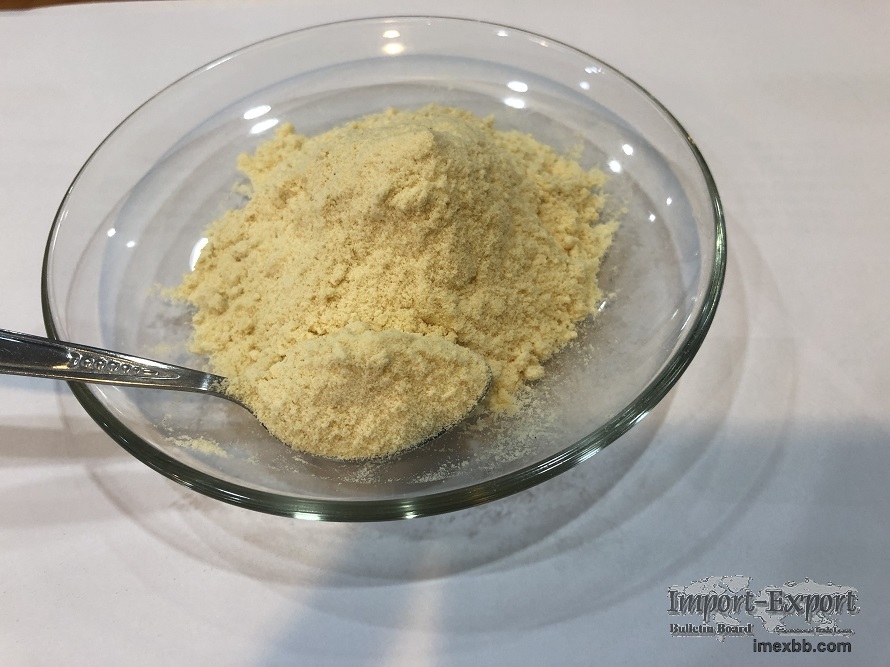 Freeze-dried Durian Powder