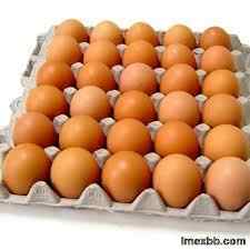 Fresh white and brown chicken eggs
