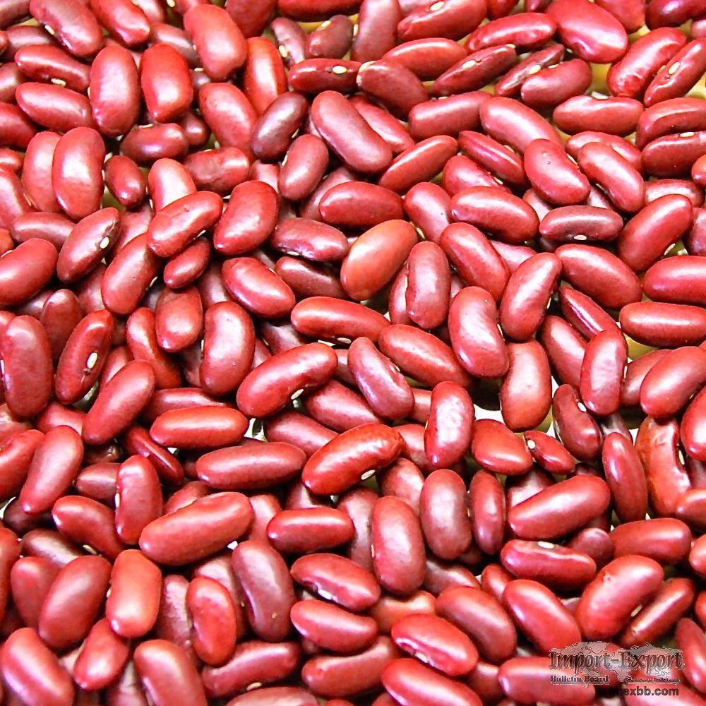 Dried Kidney Beans for Sale