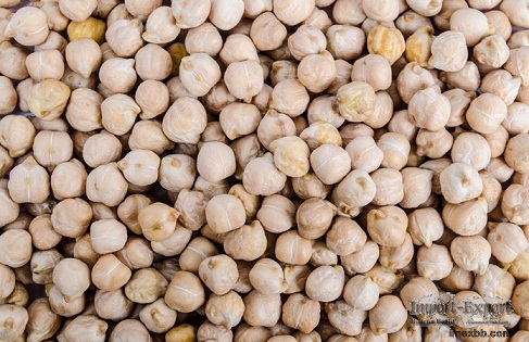 Chickpeas from Argentina