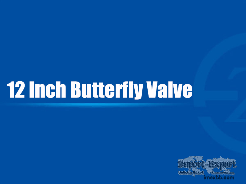 12 Inch Butterfly Valve