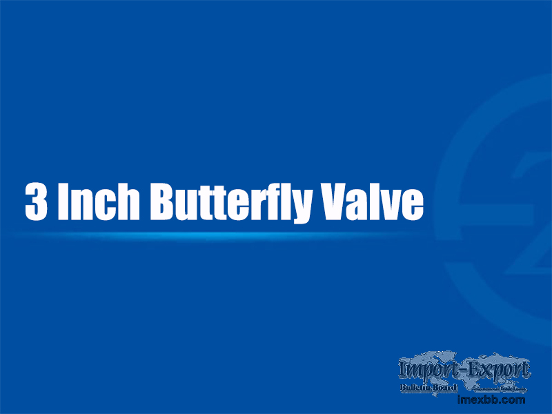 3 Inch Butterfly Valve