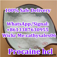 Factory Supply Procaine HCl/Procaine Hydrochloride Powder CAS 51-05-8