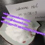 China factory price Lidocaine HCL 73-78-9 local anesthetic drug