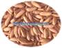 Pine Nut kernels For Sale In Bulk