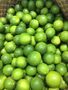 SEEDLESS LIME FOR EXPORT