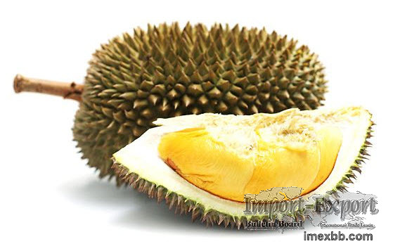 Durian from Vietnam for export
