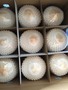 Clean Peeled Coconut for Export