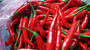 Chilli Pepper for export