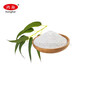 Construction Grade HPMC(Hydroxyprop   yl Methyl Cellulose) For Gypsum