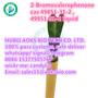 cas no. 49851-31-2 2-Bromovalerophenone cas 49851 31 2 China supplier
