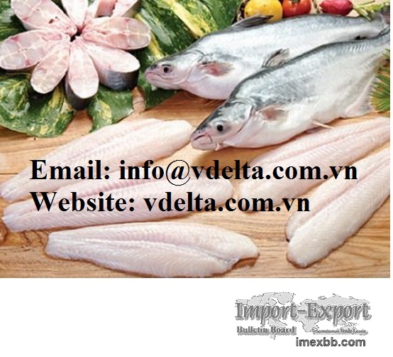 Frozen Vietnamese Catfish Fillet - Pangasius - Basa fish