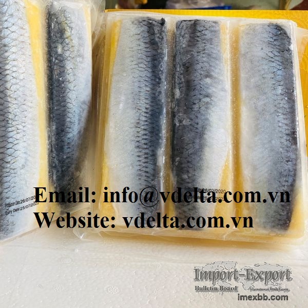 BEST QUALITY DRIED/FROZEN HERRING FISH IN VIETNAM 