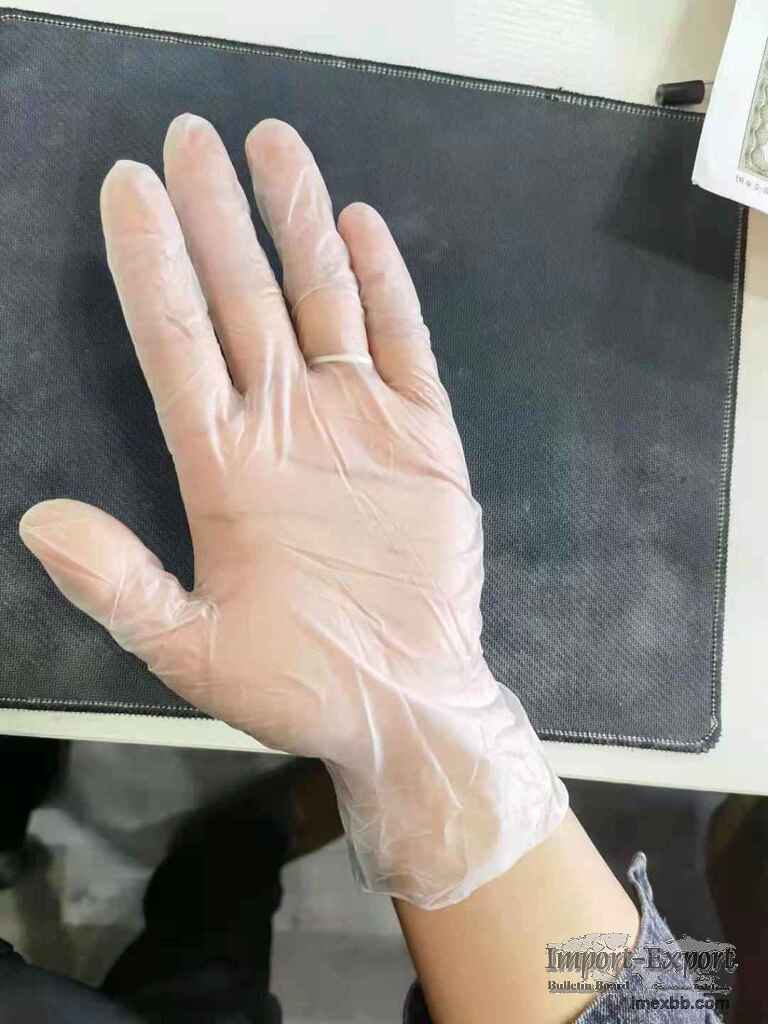 Vinyl Gloves