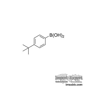 tert-Butylphenylboronic acid CAS 123324-71-0 