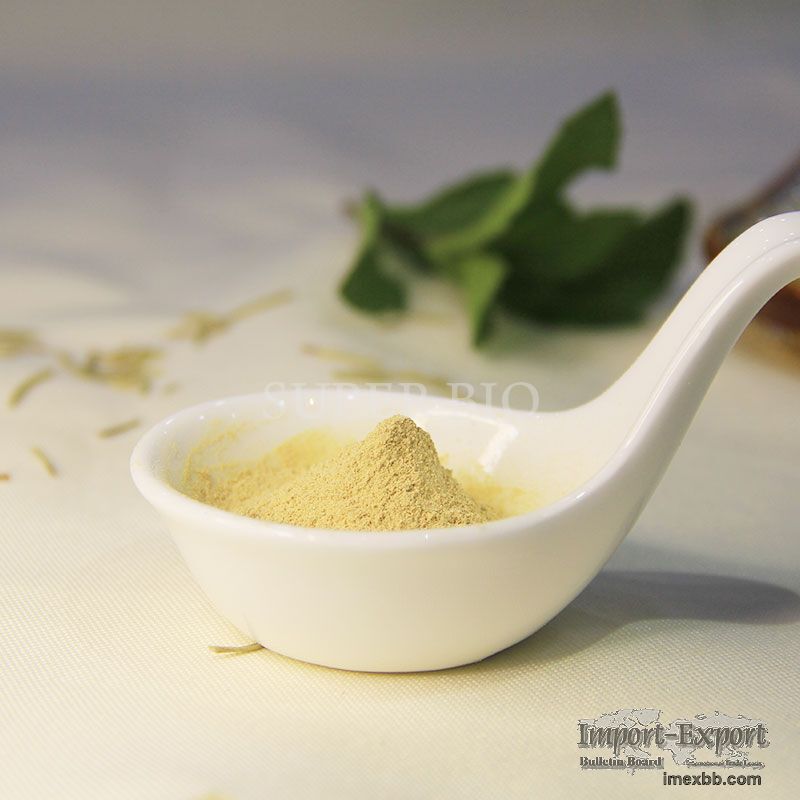 Carnosic Acid 60%   Rosemary Leaf Extract Wholesaler