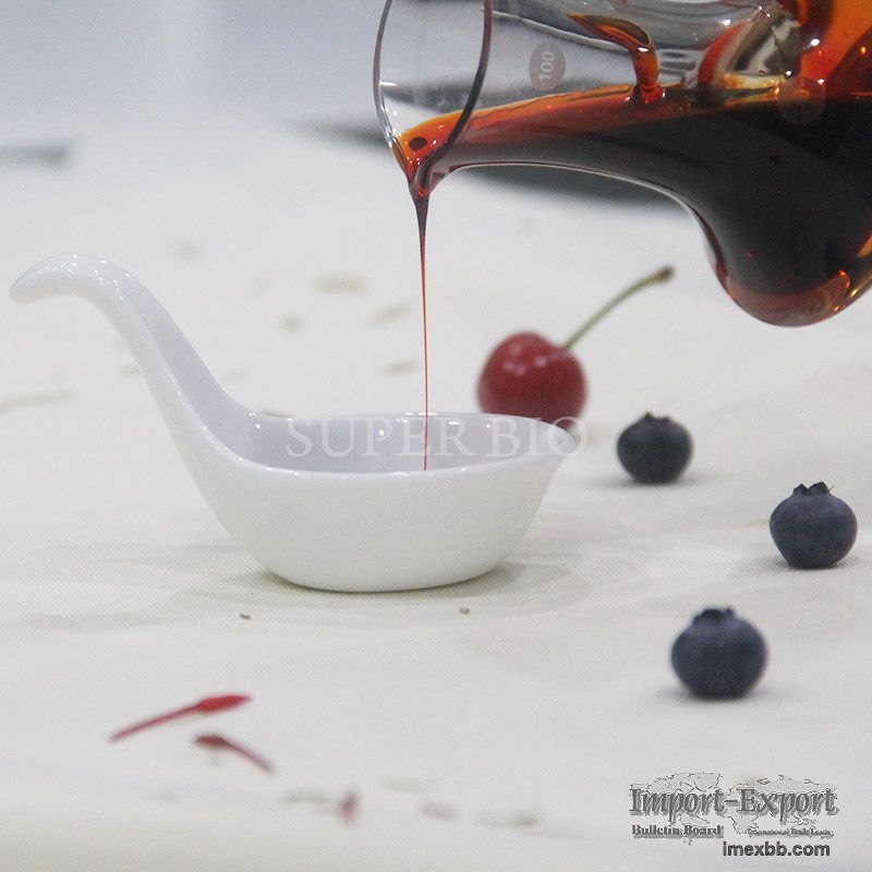 Natural Pigment Antioxidant   Rosemary Antioxidant for Natural Pigment