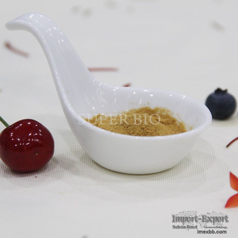 Rosmarinic Acid 30%  Rosmarinic Acid for Food Supplement