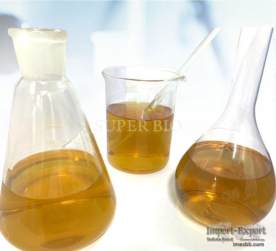 High Purity Rosmarinic Acid 80%