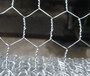 Hexagonal Wire Netting   Galvanized Welded Mesh supplier