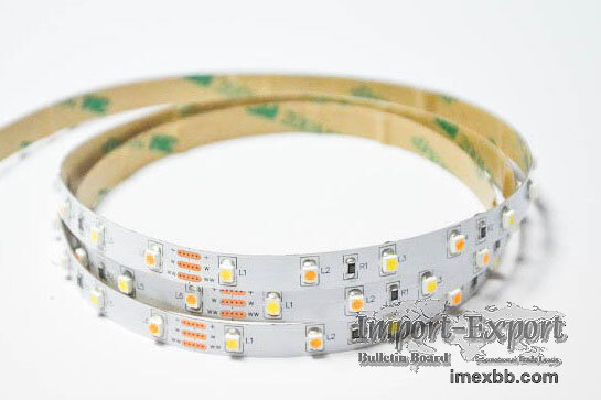 SMD3528 60LED/M Led Strip Light