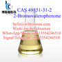 Supply 2-Bromovalerophenone cas49851-31-2 safe delivery Russia