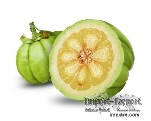 Garcinia Cambogia Extract