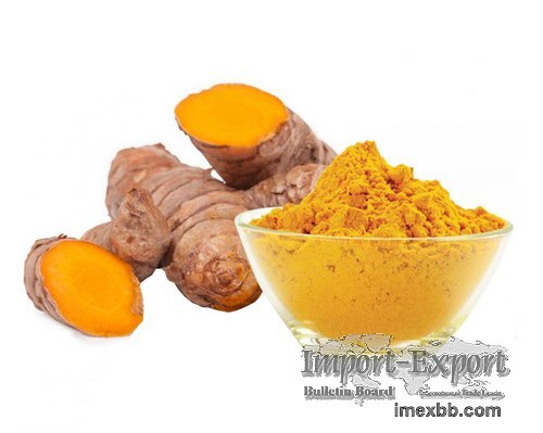 95% Curcumin Extract
