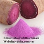 High quality sweet potato powder besst price from  viet nam 