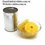 Cheap Canned Pineapple / Pieces 