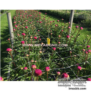Plant Support Net