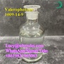 Valerophenone Liquid 1009-14-9 China Raw Organic Reagent Valerophenone