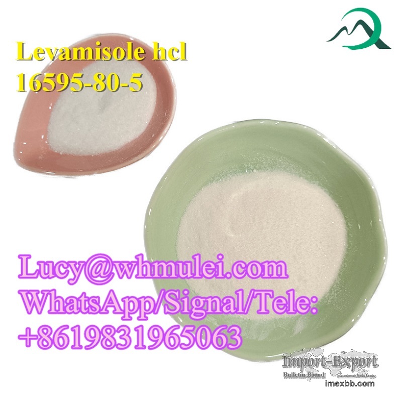Levamisole hcl Powder 16595-80-5 Antiparasitic Drug Levamisole hcl China
