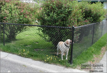 Chain Link Pet Mesh Panels For Dog Run Fencing And Dog Kennels