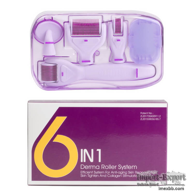 HOT selling 6 in 1 Dr Pen Micro needle Derma pen roller Microneedle Skin 