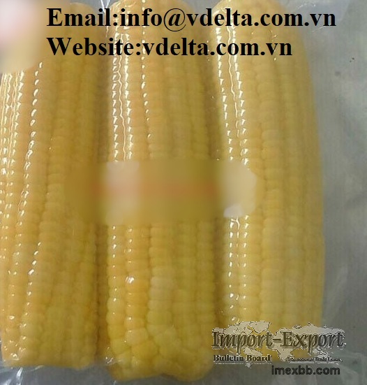 High quality Frozen Sweet Corn From Vietnam