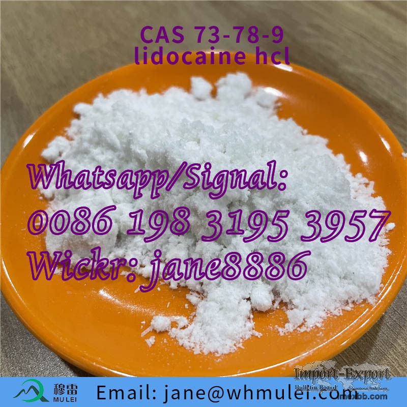 Pharmaceutical Raw Powder White Powder CAS: 137-58-6 Lidocaine HCl Lidocain