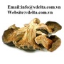 Dried Oyster Mushroom from Viet Nam